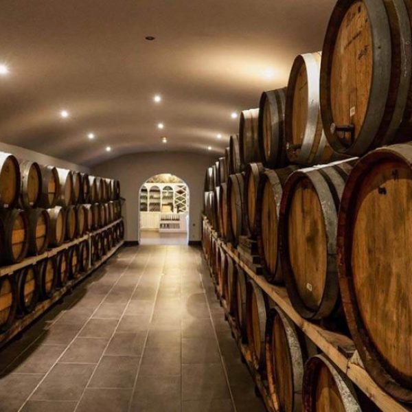 Santorini Wine & Food Experience| MyGreece