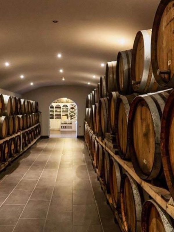 Santorini Wine & Food Experience| MyGreece