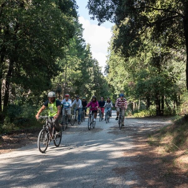 Cycling Gialova Beach