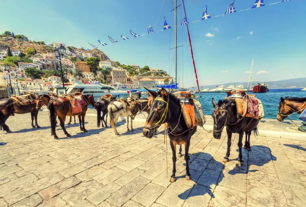 Athens all day Cruise | MyGreece