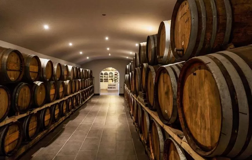 Santorini Wine & Food Experience| MyGreece