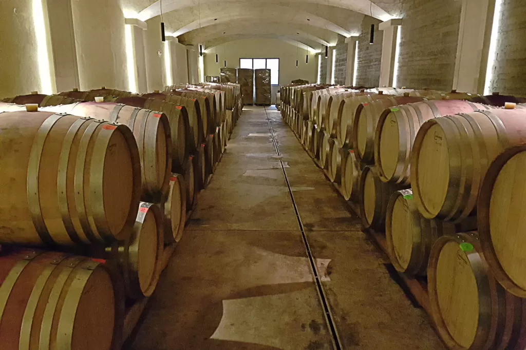 MyGreece | Discover the Miracle of Wine and Olive Oil