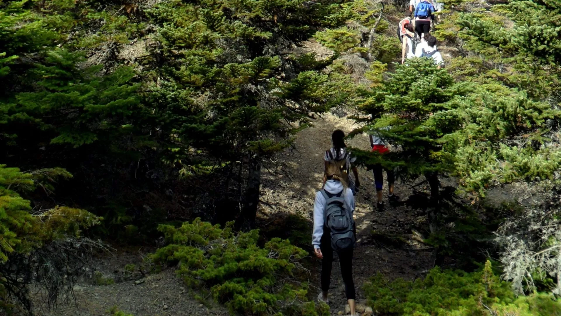 My Parnitha Mountain Refuges Trail | MyGreece