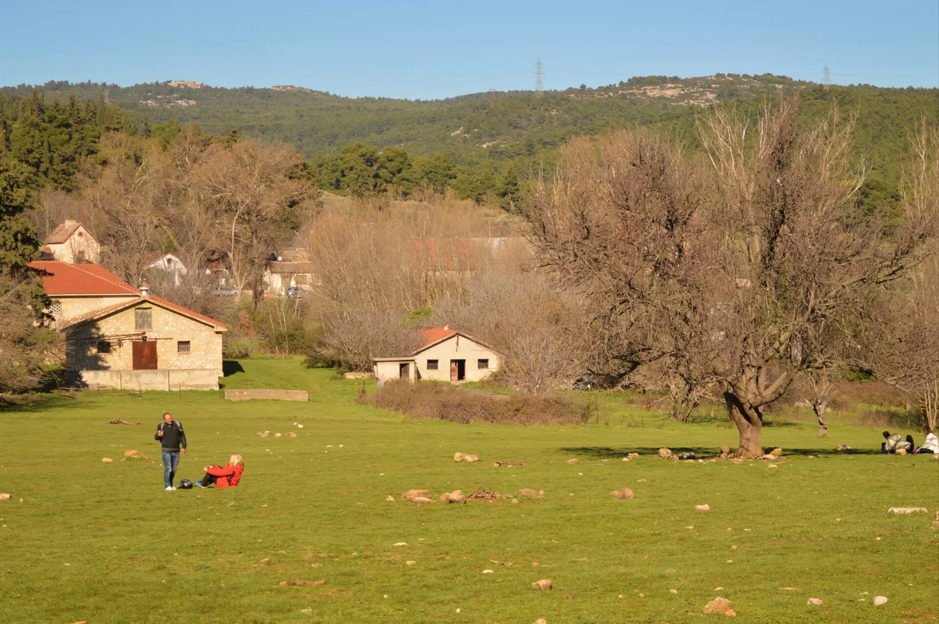 MyGreece | My Tatoi Royal Palace Τour