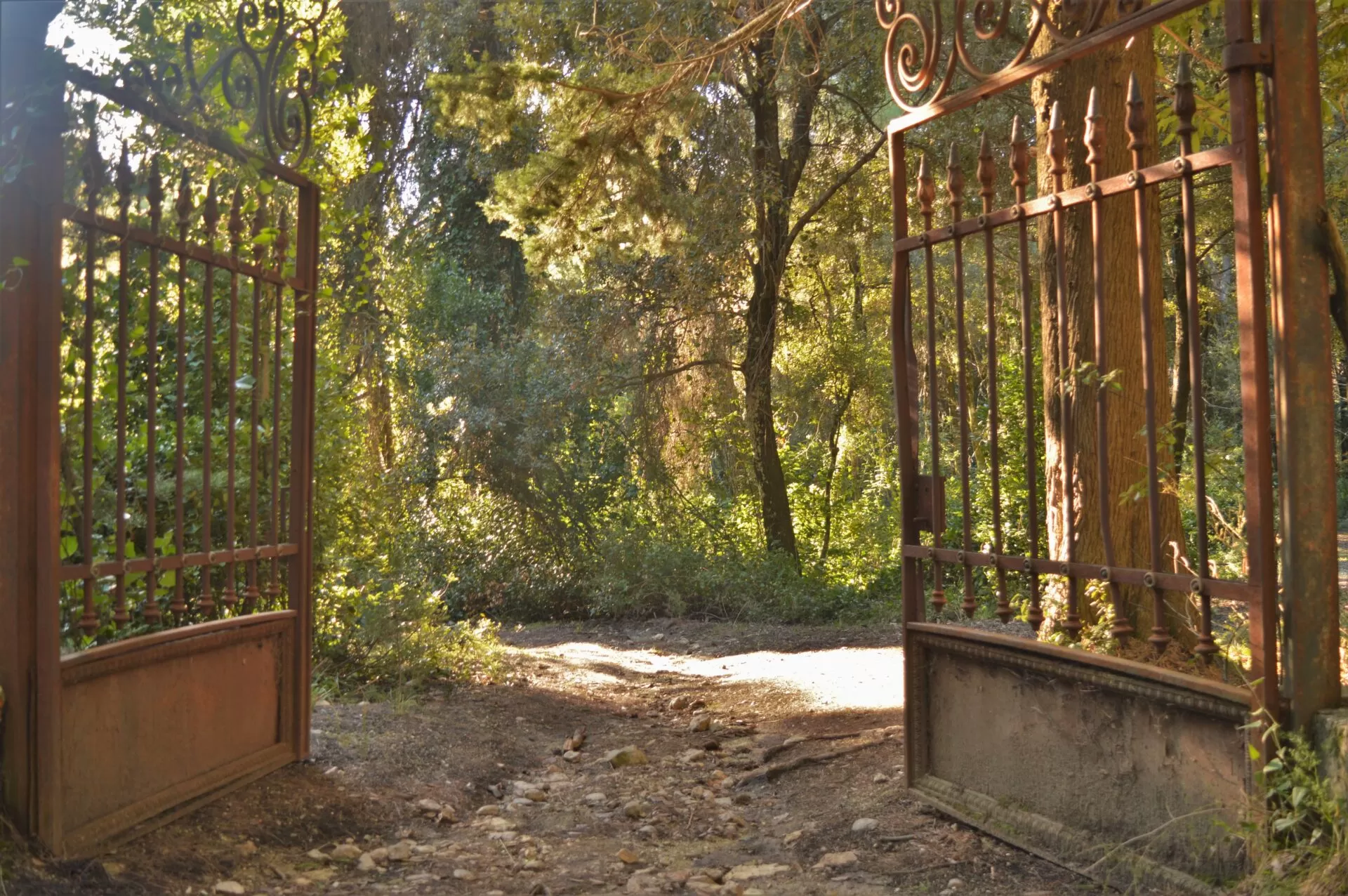 MyGreece | My Tatoi Royal Palace Τour