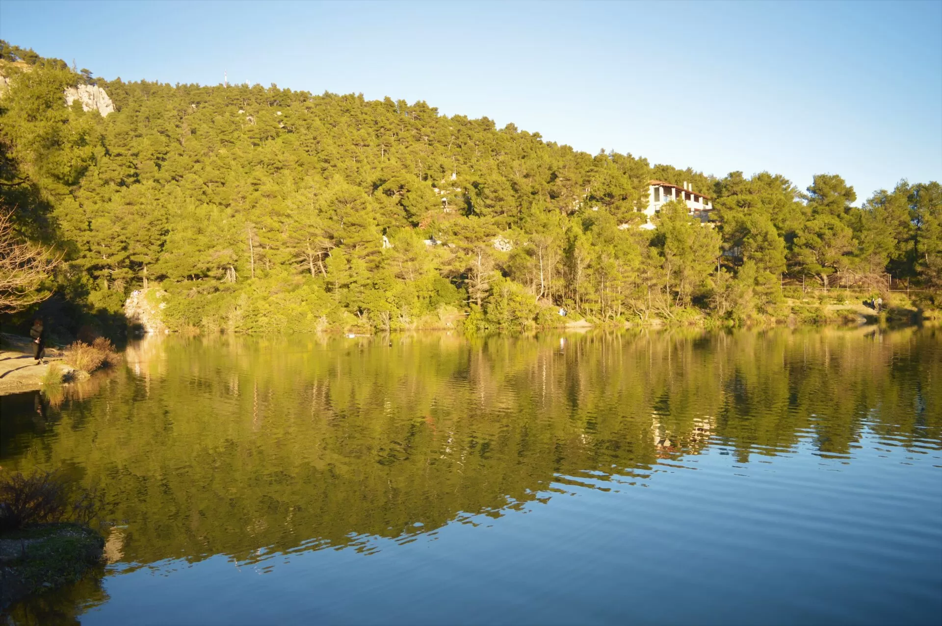 MyGreece | My Tatoi Royal Palace Τour