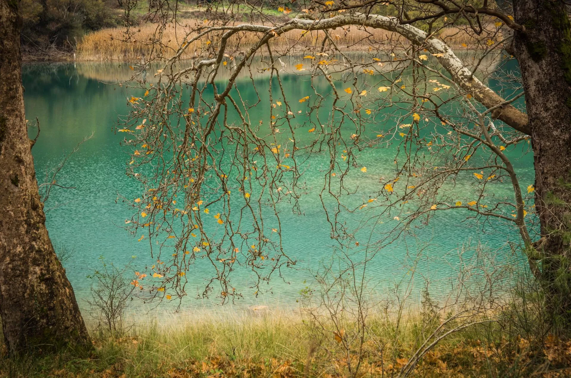 MyGreece | My Kalavrita Village & Lake Tsivlos