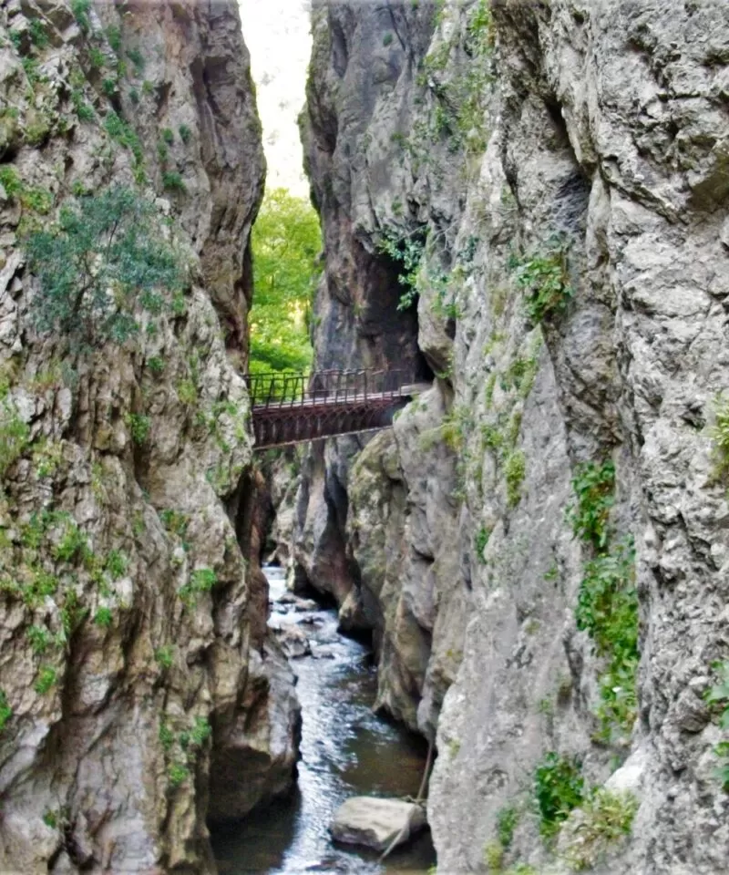 MyGreece | My Kalavryta Village & Tsivlos Lake Trek