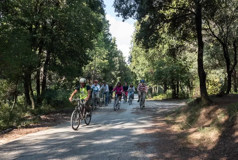 Cycling Gialova Beach